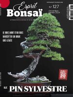 Esprit Bonsai